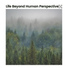Soft Soundscapes