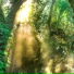 greentwig