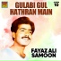 Fayaz Ali Samoon