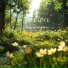 Koico Relaxation Music