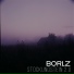 BORLZ