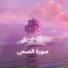 القارئ عادل ريان