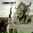 Combichrist