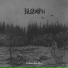 Blodørn