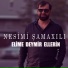 Nesimi Şamaxılı