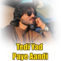 Tanveer Anjum