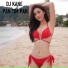 DJ FLEXI