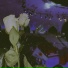 мышъ