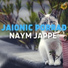 Jaionic Porrad