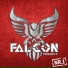 Falcon Project