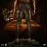 Shane Code