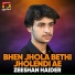 Zeeshan Haider