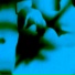 UFsp