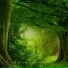 ASMR Nature Sounds Winds