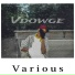 VDOWGE