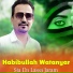 Habibullah Watanyar