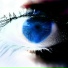 Linhold