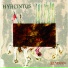 Hyacintus