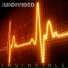 The Undivided