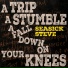 Seasick Steve