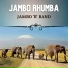 Jambo 'B' Band