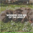 Music for Calming Dogs