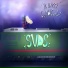 SVDS