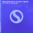 William Silva, Matt Arvid