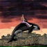 Orca