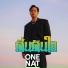 ONE NAT