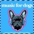 Relax My Dog, Dog Music Zone