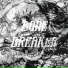 ANTERA, Daniel Teed