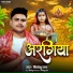 Priyanshu Raj