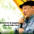 RICARDO CASTRO SILVA