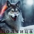 Шутки в сторону