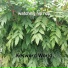Keyword World
