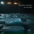 VaLeJNik