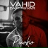 Vahid Daneshvar