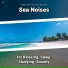 Sea Waves Sounds, Ocean Sounds, Nature Sounds