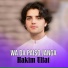 Hakim Ulfat