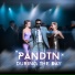 pAndTn