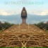 Skytrust