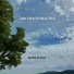 Gentle Groove