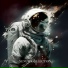 Xenum