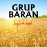 Grup Baran