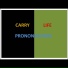 Carry Life