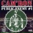Cam'ron feat. Tom Gist