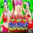 Vijay Bedardi