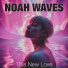 Noah Waves