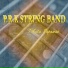 P.R.K. STRING BAND